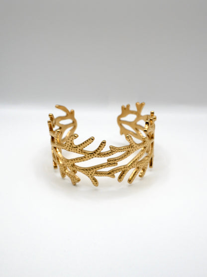 Jonc Corail